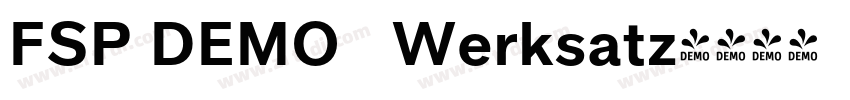 FSP DEMO   Werksatz字体转换